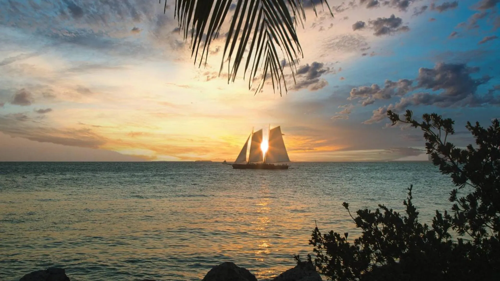 Parrot Perch By Avantstay Old Town Key West W Shared Pool Week Long Stays Only 0*,