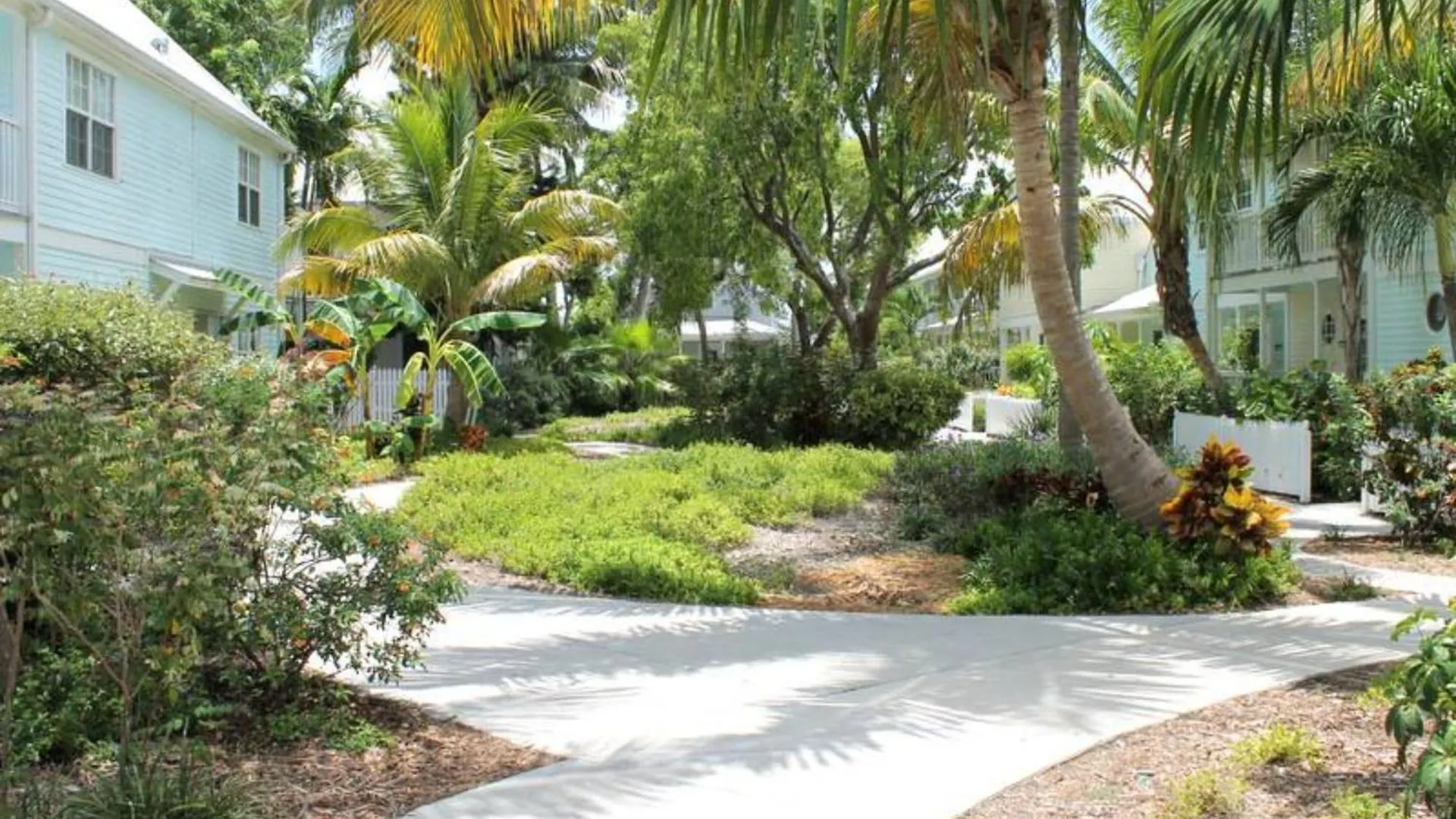 Feriehus Parrot Perch By Avantstay Old Town Key West W Shared Pool Week Long Stays Only